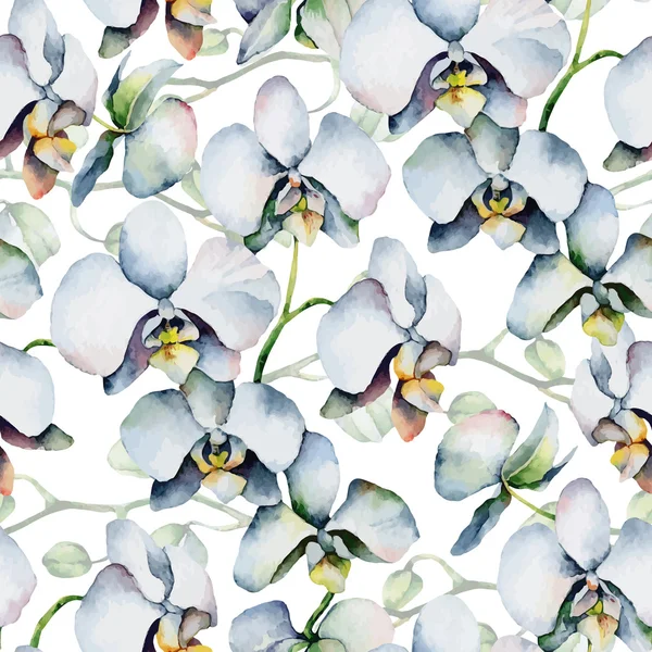 Orhidee albe — Vector de stoc