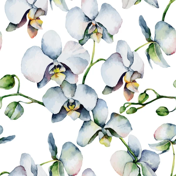 Bílé orchideje — Stockový vektor