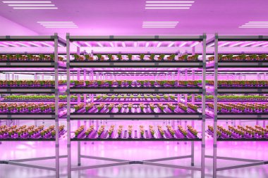 Kapalı alan tarım sistemine sahip tarım teknolojisi öncü ışıkla büyüyen raflardaki bitkileri yükseltti.