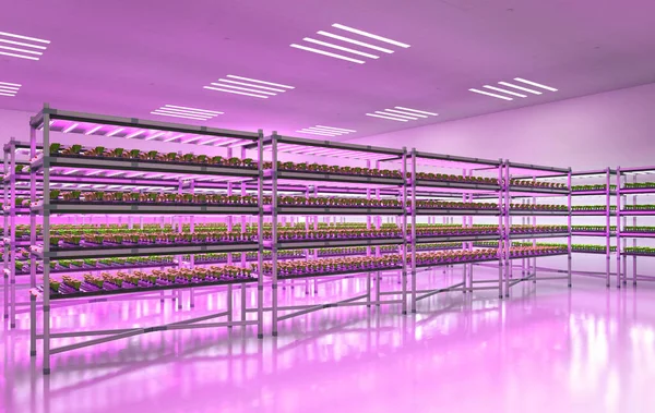 Stock image Agriculture technology with 3d rendering indoor farm system raised plants on shelves growth with led light