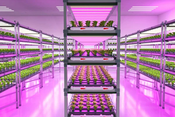 3次元レンダリング室内農業システムと農業技術は Ledライトと棚の成長に植物を育てました — ストック写真