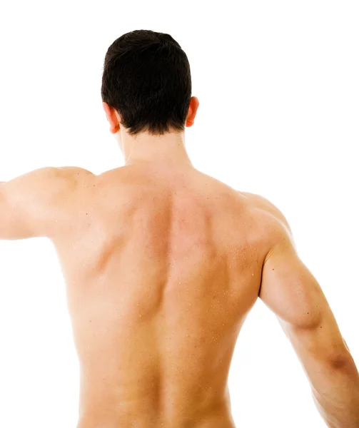 Muscular male back on white background — Stock Photo, Image