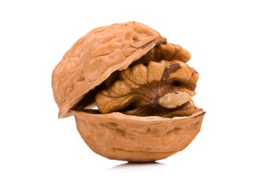 Ceviz makro çekim, izole beyaz zemin üzerine