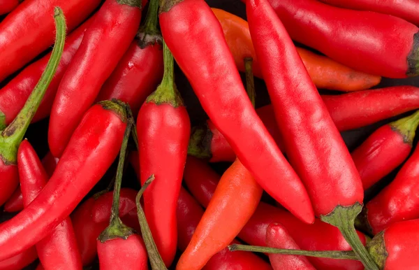 Rote Chilischoten Hintergrund — Stockfoto