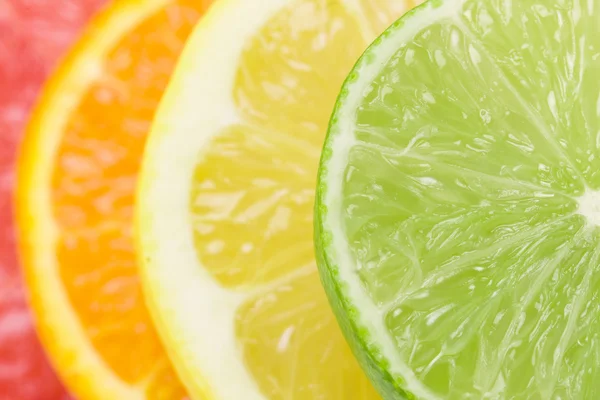 Citrus slices background — Stok fotoğraf