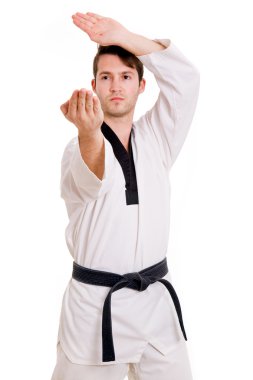 genç dövüş sanatları uygulamak beyaz arka plan üzerinde dostum.