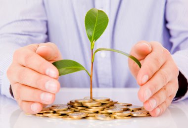 Business man hands with a tree growing from pile of coins