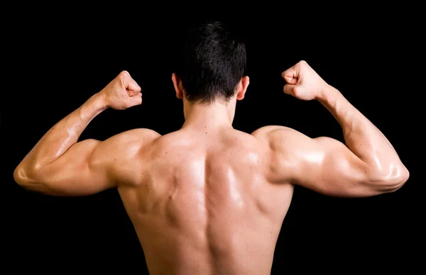 Muscular male back on black background. Stock Picture