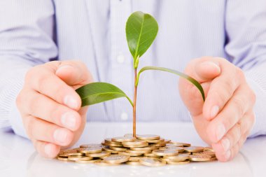 Business man hands with a tree growing from pile of coins
