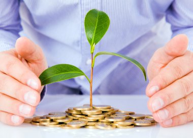 Para biriktirme kavramı