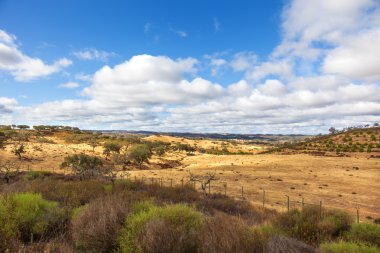 Alentejo peyzaj ağaçları ve güzel gökyüzü