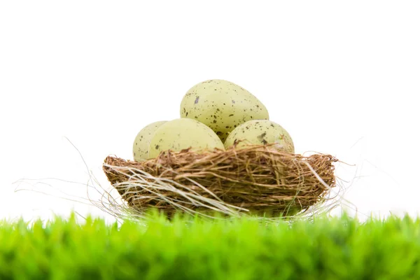 Красочные пасхальные яйца в гнезде на лугу, изолированные на белом — стоковое фото