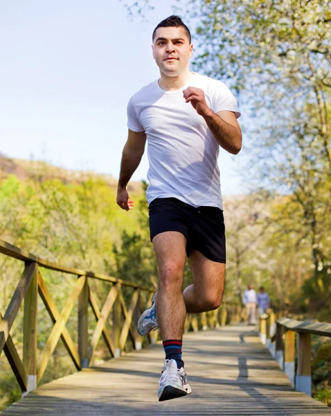 Mladý zdravý muž běží v parku — Stock fotografie