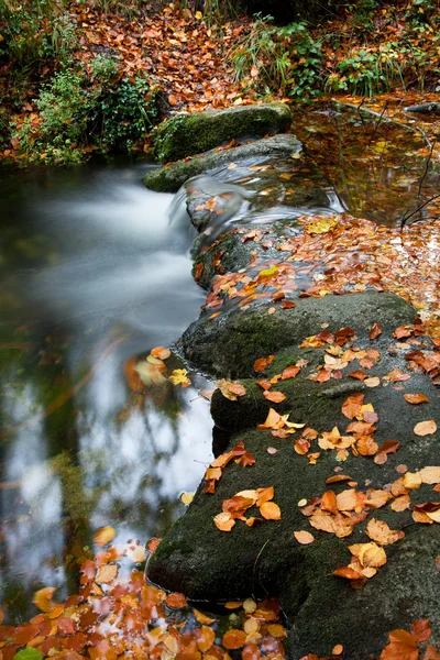 Höstlandskap med river och vackra bladverk — Stockfoto