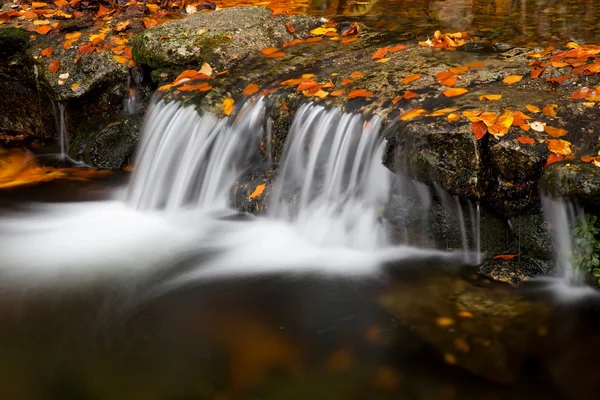 秋季景观与河和漂亮的叶子 — 图库照片