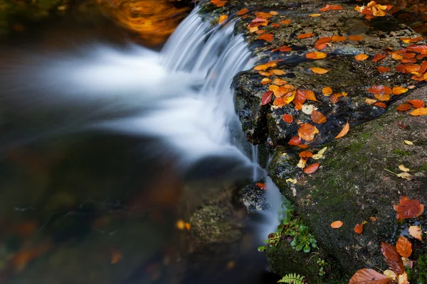 Podzimní krajina s řekou a krásnou zeleň — Stock fotografie