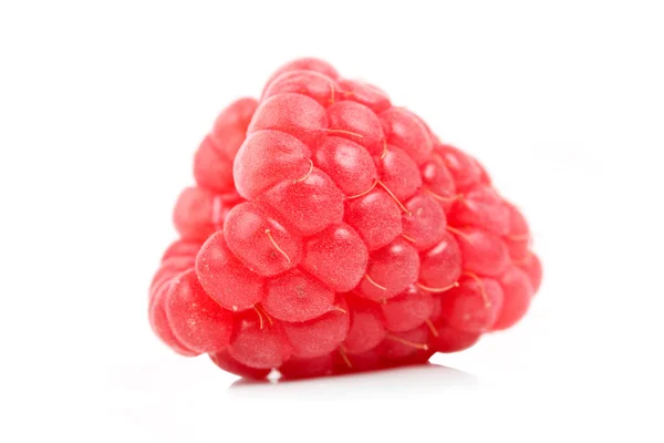 Raspberry isolated on white background — Stock Photo, Image