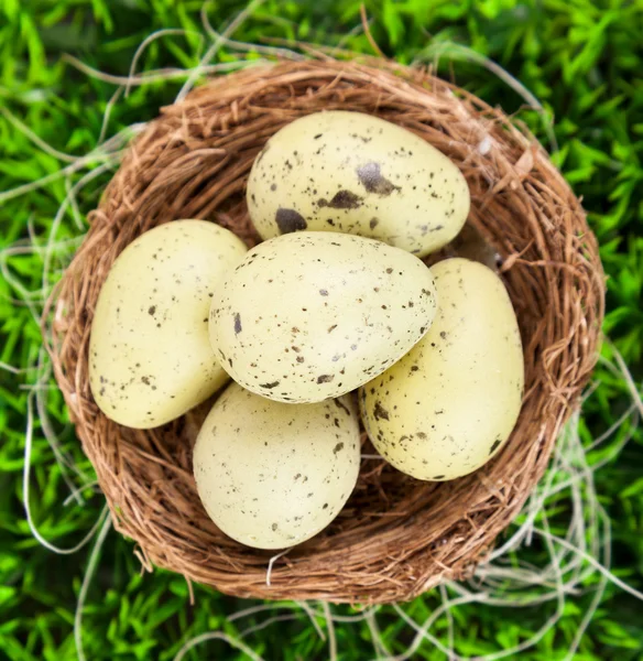 Ovos de Páscoa em ninho no prado — Fotografia de Stock