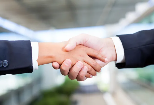 Business handshake at the office Stock Picture