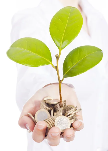 Planta verde brotando de uma mão com dinheiro, isolado em branco — Fotografia de Stock