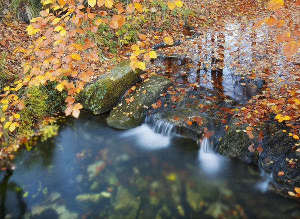 Herbstlandschaft mit Laub und Fluss — Stockfoto