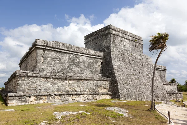Oude Maya tempel van tulum, mexico — Stockfoto