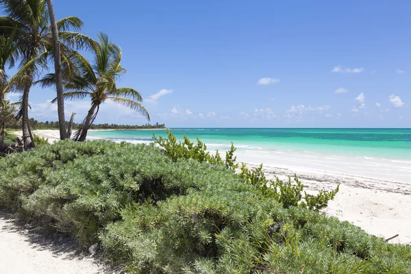 Hermosa playa tropical en México — Foto de Stock