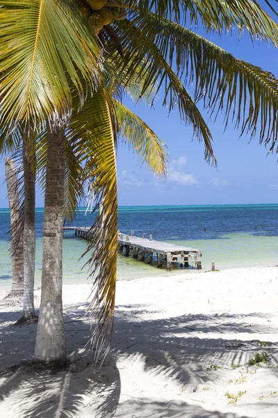 Paradise Caribbean beach in Mexico — Stock Photo, Image