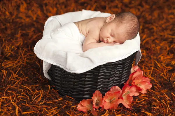 Novorozeně chlapeček spí uvnitř košíku — Stock fotografie