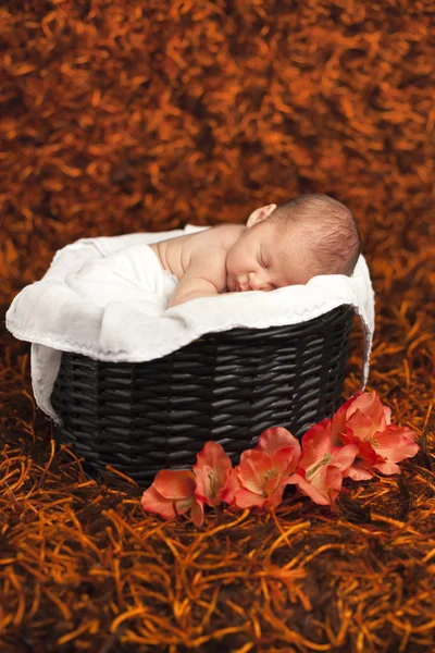 睡在篮子里面的小初生男婴 — 图库照片