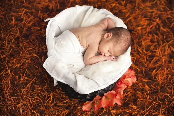 Little newborn baby boy sleeping inside basket — Stock Photo, Image