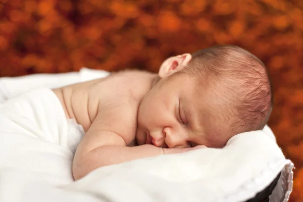 Pequeño bebé recién nacido durmiendo —  Fotos de Stock