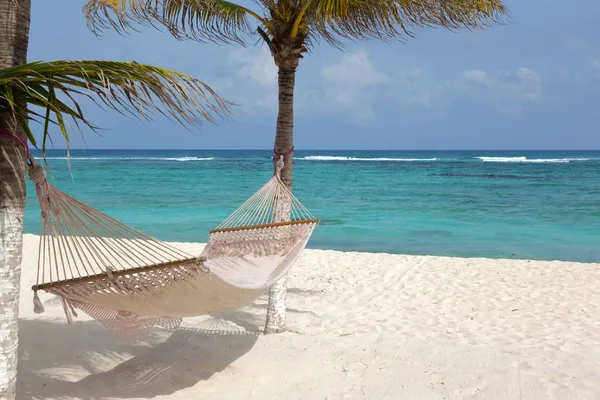 Strand mit Kokospalmen und Hängematte — Stockfoto