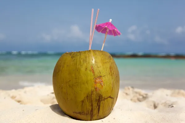 Coconut with drinking straw — Stock Photo, Image