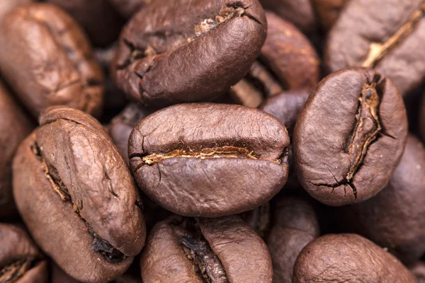 Heap of coffee beans — Stock Photo, Image