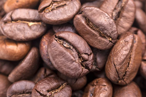 Купка кавових зерен — стокове фото