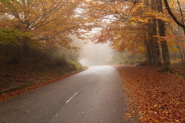 Paesaggio d'autunno — Foto Stock