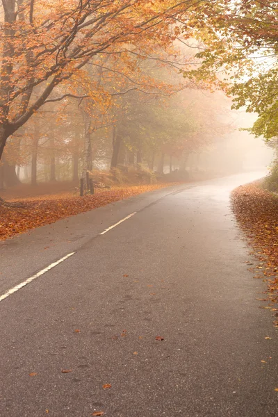 Paesaggio d'autunno — Foto Stock