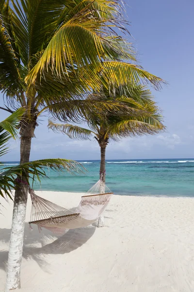 Идиллический пляж с кокосовыми пальмами и гамаком в Мексике Лицензионные Стоковые Изображения