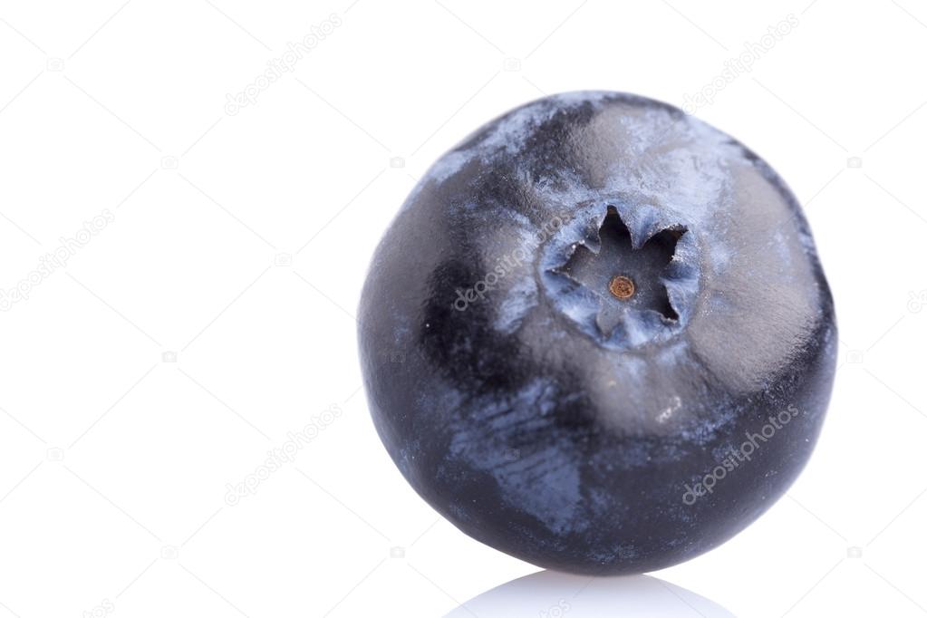 Blue berry on white background