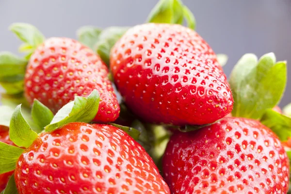 Pile de fraises mûres — Photo