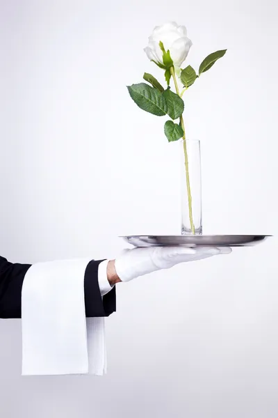 Waiter holding silver tray — Stock Photo, Image