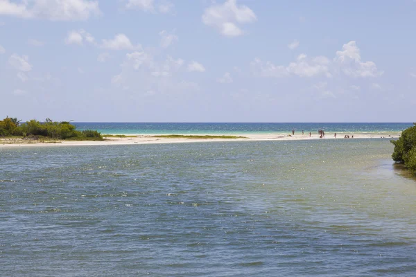 Sian Kaan lagoon, Riviera Maya, Mexico — Stock Photo, Image