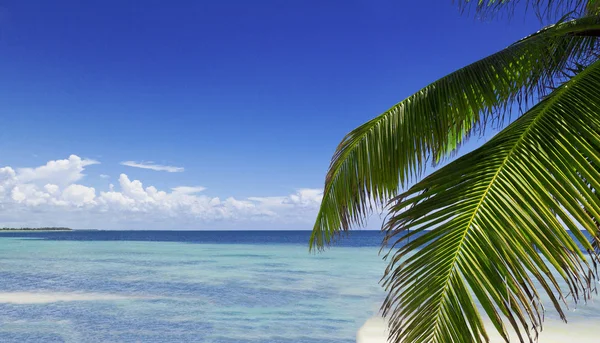 Hermosa playa idílica en México — Foto de Stock