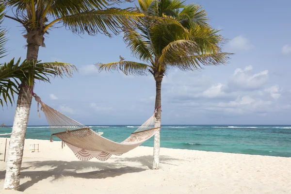 Beach with coconut trees and hammock — Stock Photo, Image