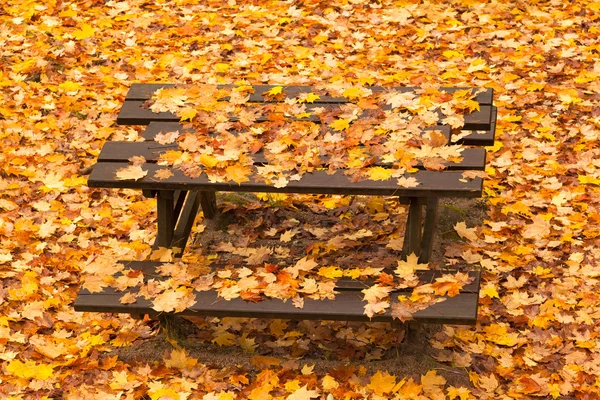 树叶秋天公园的长凳上 — 图库照片