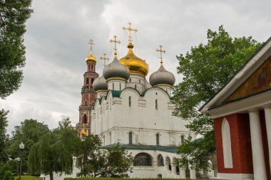 Smolensk katedral novodevichy Manastırı, Moskova, Rusya