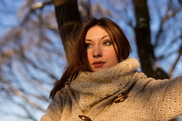 Retrato de invierno de una joven en el paisaje invernal . —  Fotos de Stock