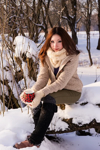 Atractiva joven mujer en invierno al aire libre —  Fotos de Stock