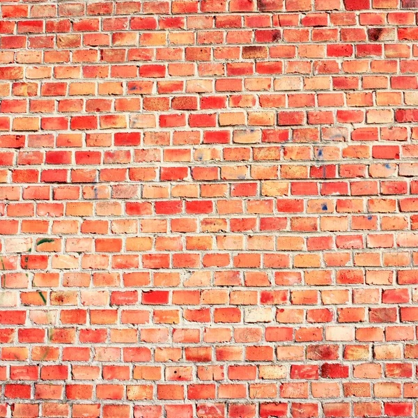 Brick wall background or texture — Stock Photo, Image